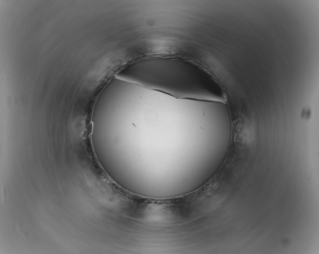 X0000113560560200910091417