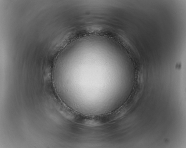 X0000113560561200910091417