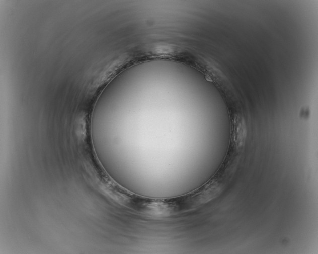 X0000113560562200910091417