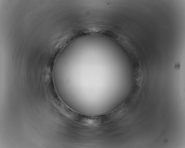 X0000113560563200910091417
