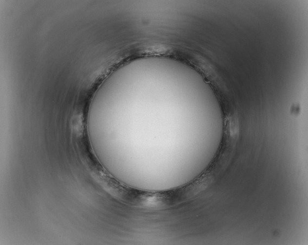 X0000113560564200910091417