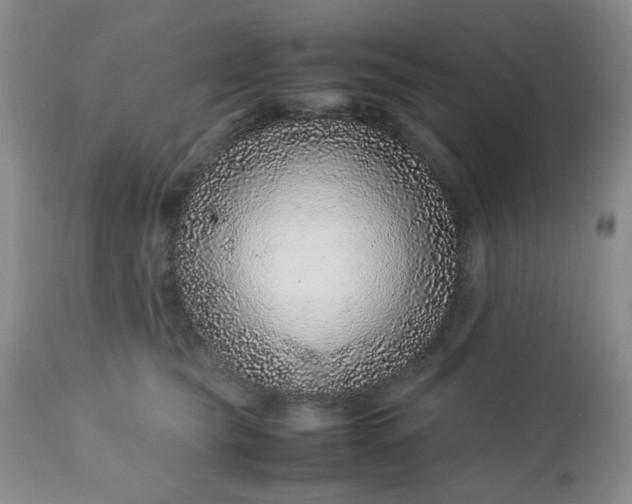 X0000113560565200910091417