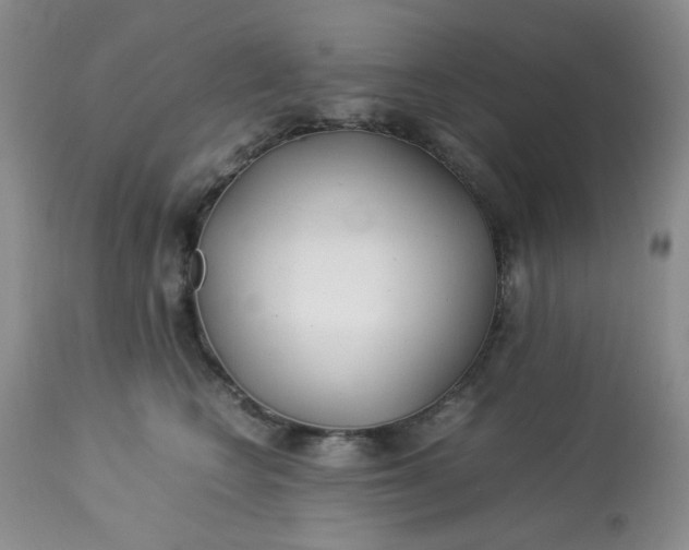 X0000113560566200910091417