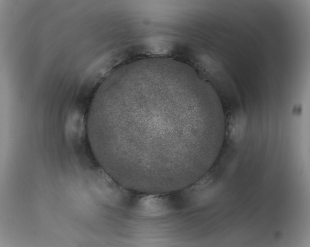 X0000113560568200910091417