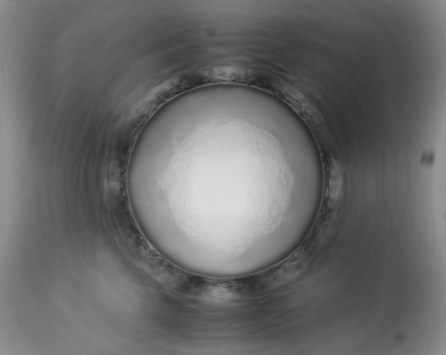 X0000113560569200910091417