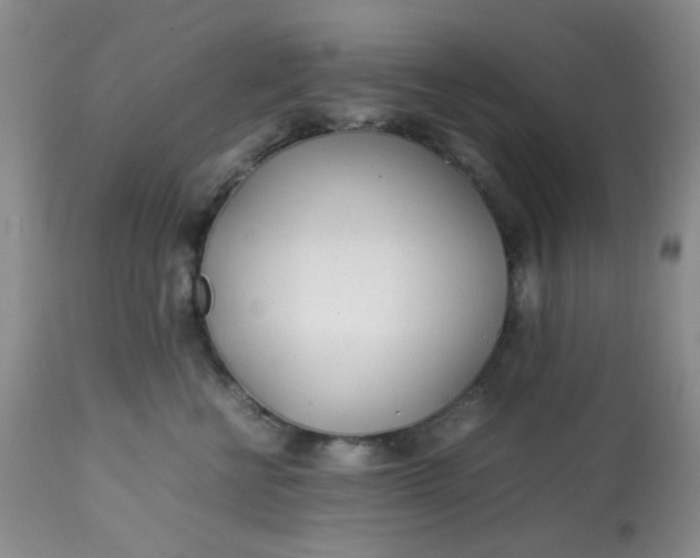 X0000113560570200910091417