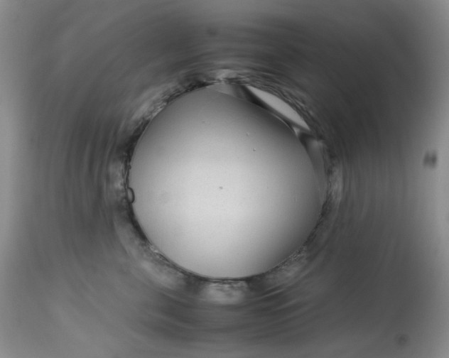 X0000113560571200910091417