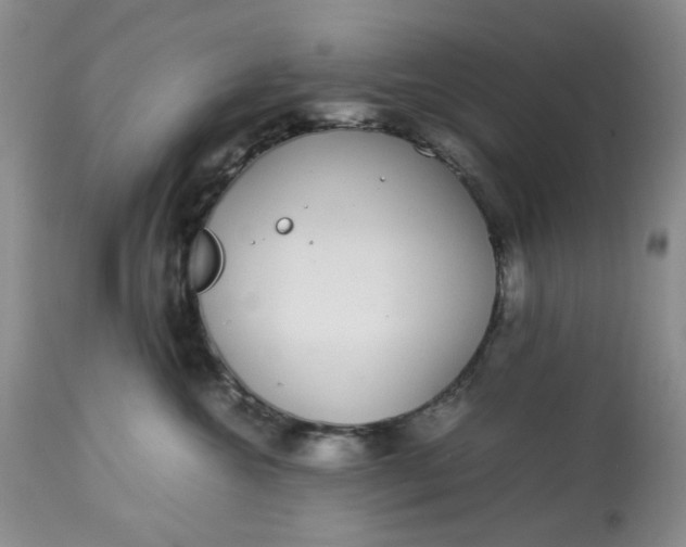 X0000113560572200910091417