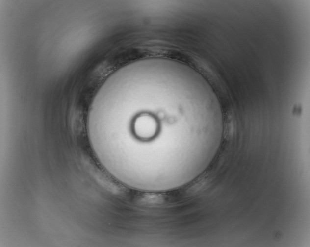 X0000113560573200910091417