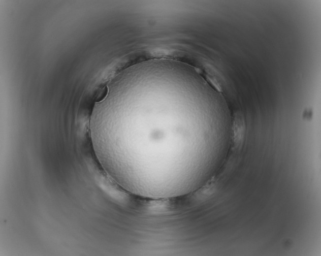 X0000113560574200910091417