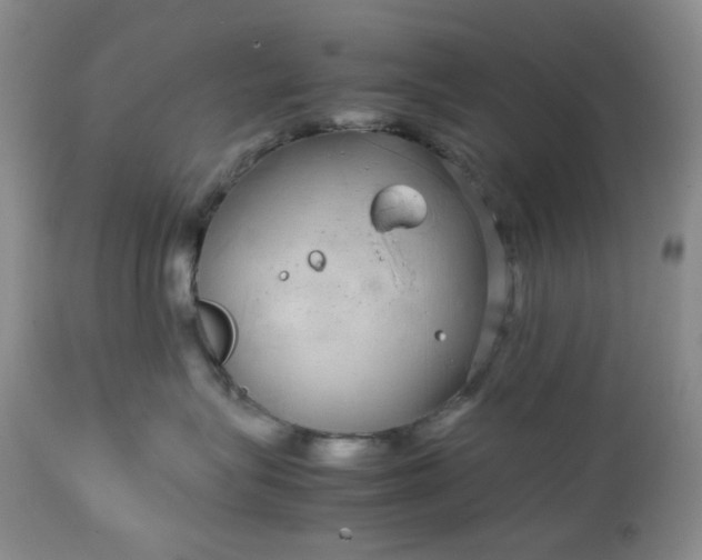 X0000113560575200910091417