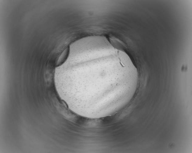 X0000113560576200910091417