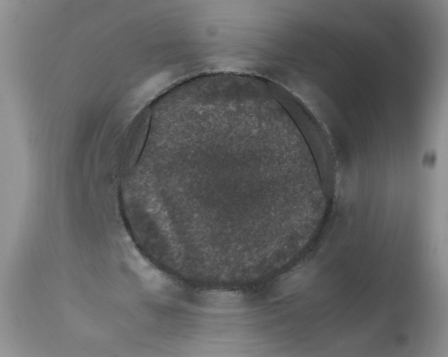 X0000113560577200910091416