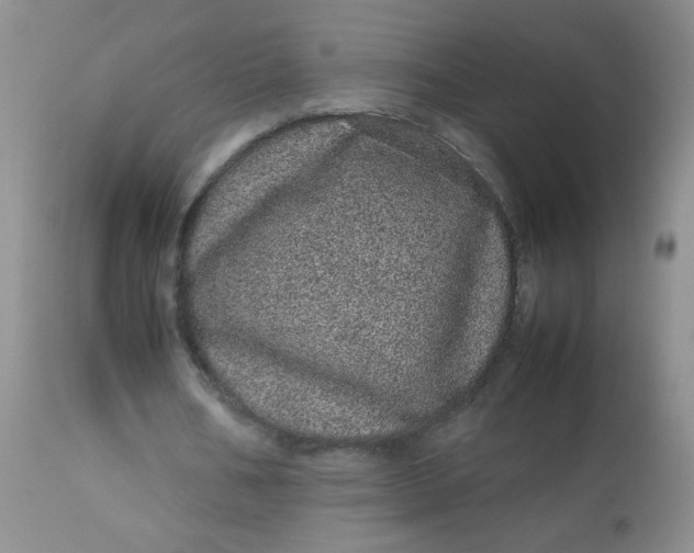 X0000113560578200910091416