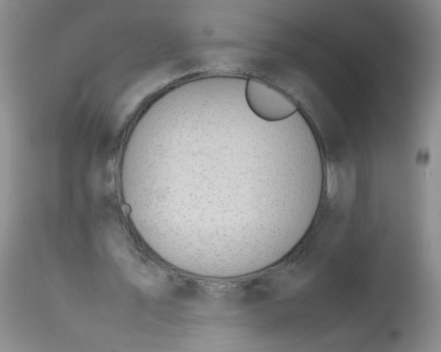 X0000113560579200910091416