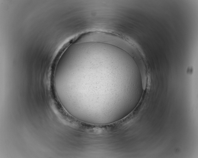 X0000113560580200910091416