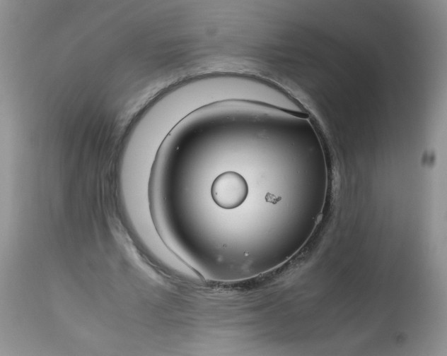 X0000113560581200910091416