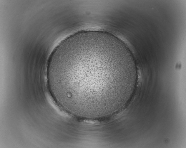 X0000113560582200910091416