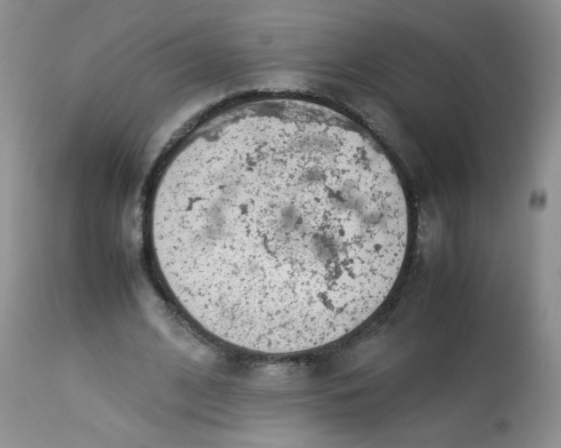 X0000113560584200910091416