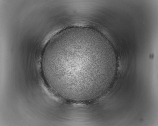 X0000113560586200910091416