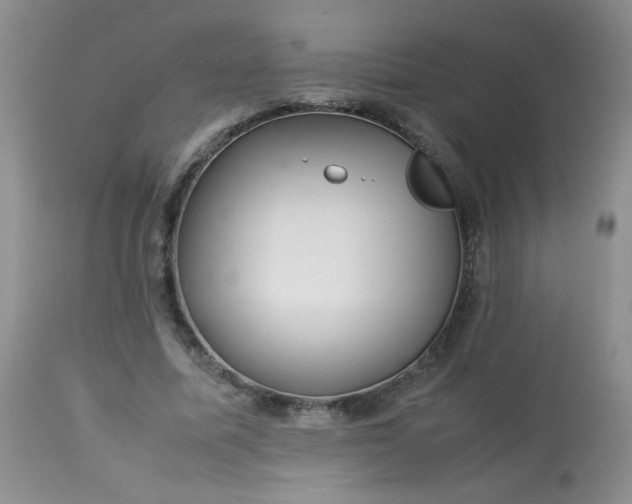 X0000113560587200910091416