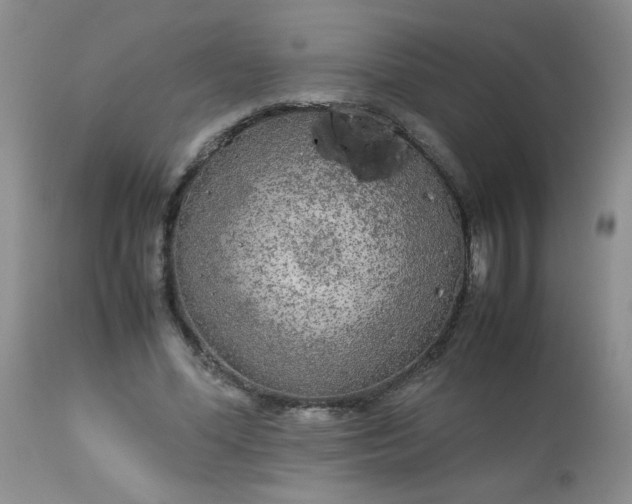 X0000113560588200910091416