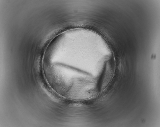 X0000113560590200910091416