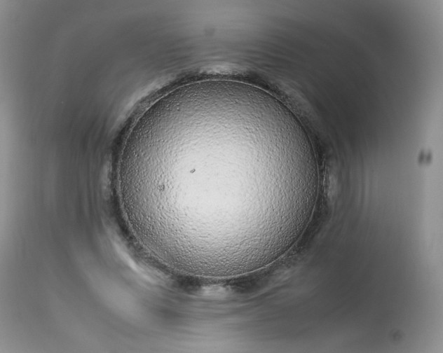 X0000113560591200910091416