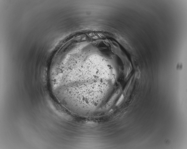 X0000113560592200910091416