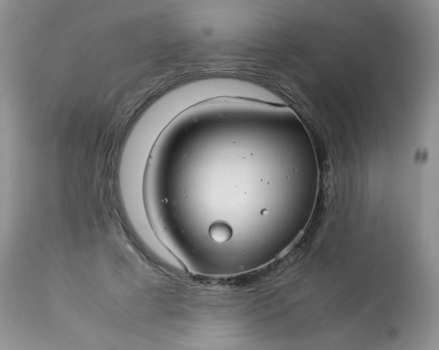 X0000113560593200910091416