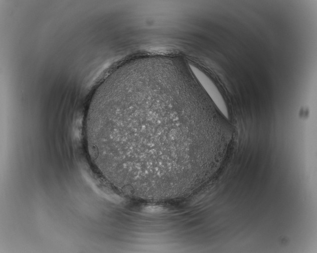 X0000113560596200910091416