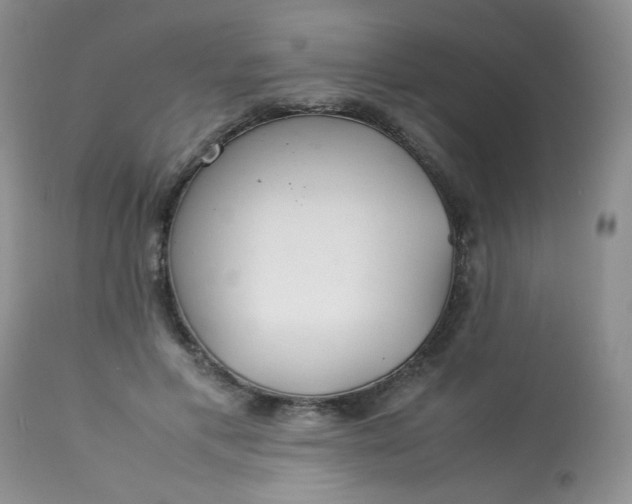 X0000113560597200910091416