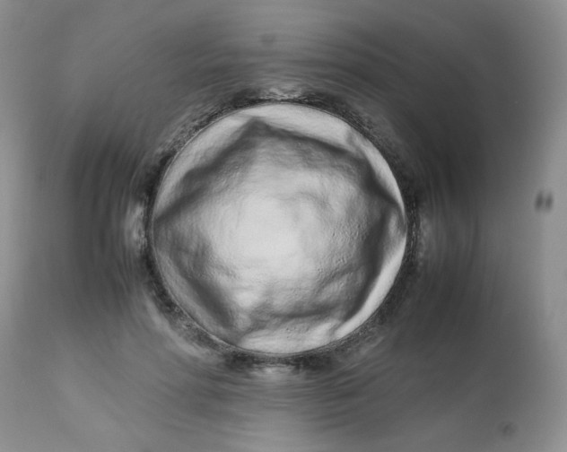 X0000113560598200910091416