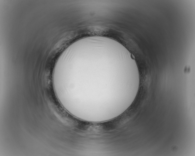 X0000113560599200910091416