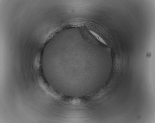 X0000113560600200910091416