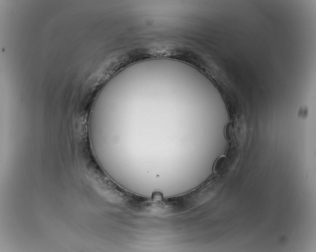 X0000113560601200910091416