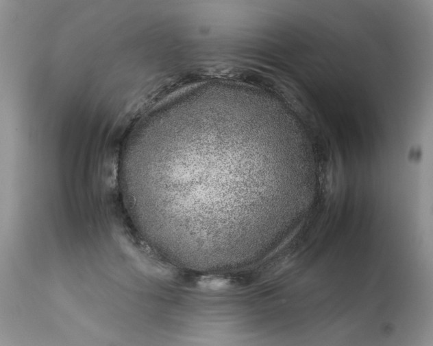 X0000113560602200910091416