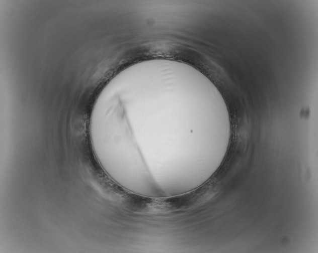 X0000113560603200910091416