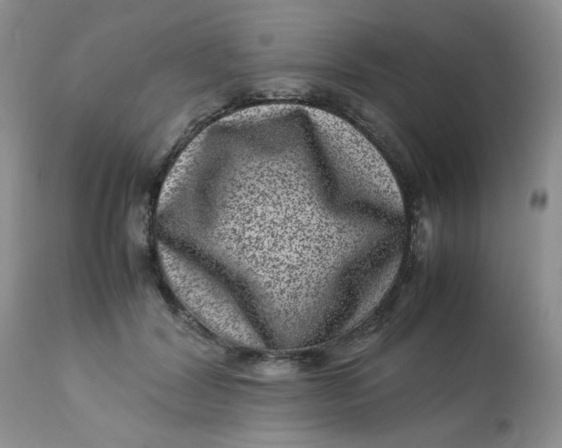 X0000113560604200910091416