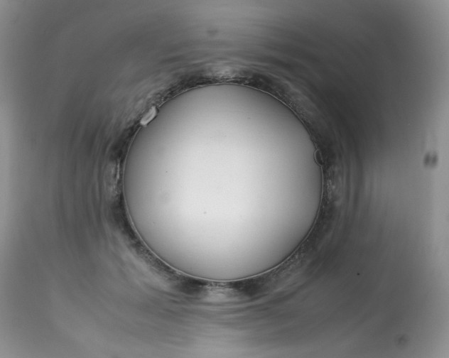 X0000113560605200910091416