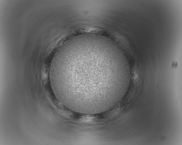 X0000113560607200910091416