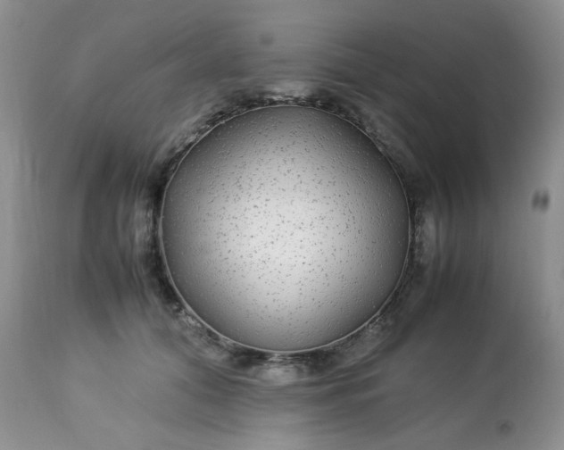 X0000113560608200910091416