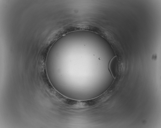 X0000113560609200910091416