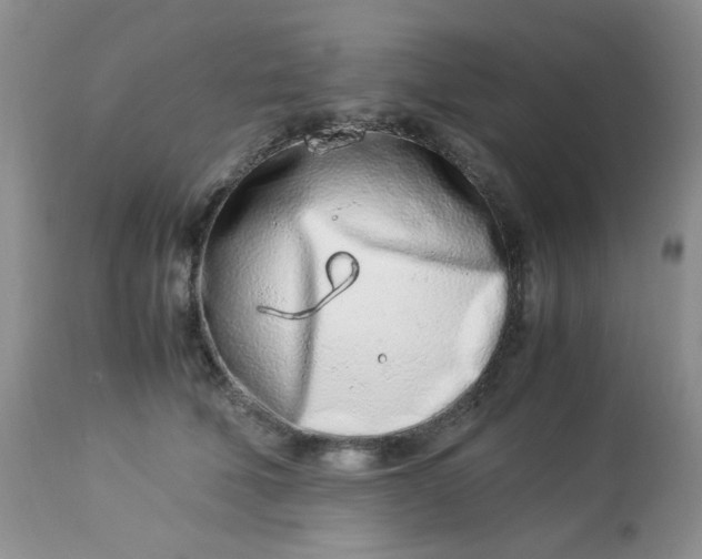 X0000113560610200910091416