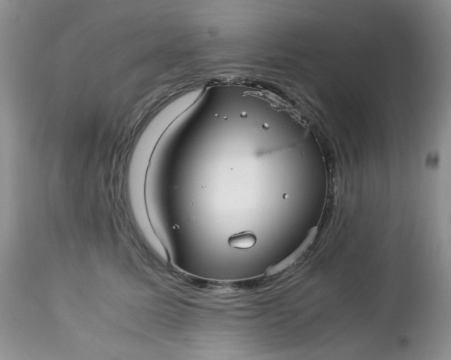 X0000113560611200910091416