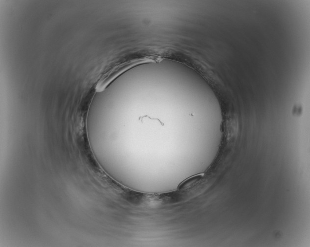 X0000113560613200910091416