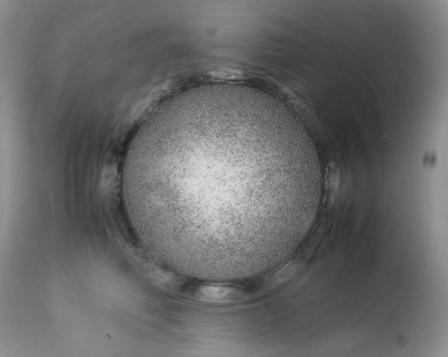 X0000113560614200910091416