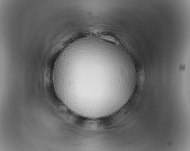 X0000113560615200910091416