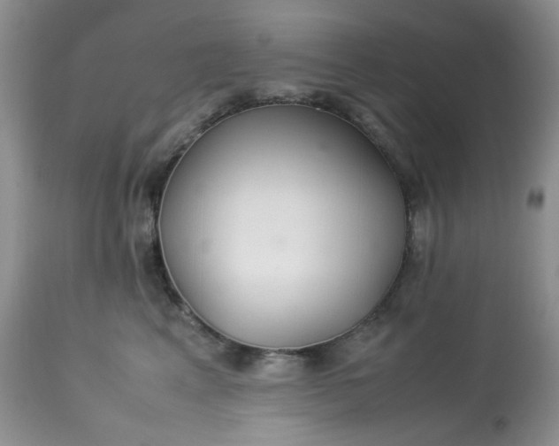 X0000113560617200910091416