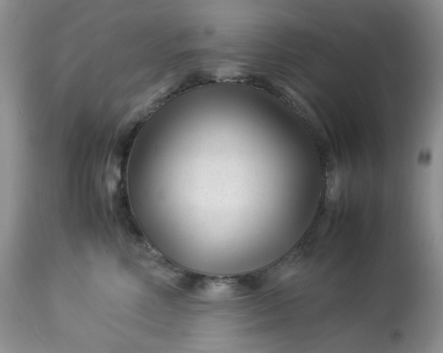 X0000113560618200910091416